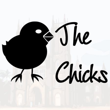 The Chicks Iron on Decal
